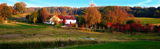 Blick vom Sommerhaus